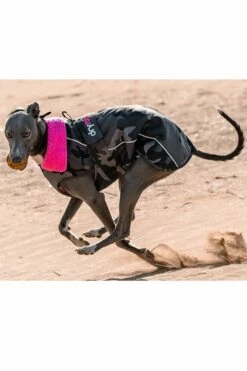 Dryrobe Dog Coat - Black Camo Pink 8 Dryrobe Dog Coat - Black Camo Pink -RED PADDLE CO. Sales dog running on beach dry robe