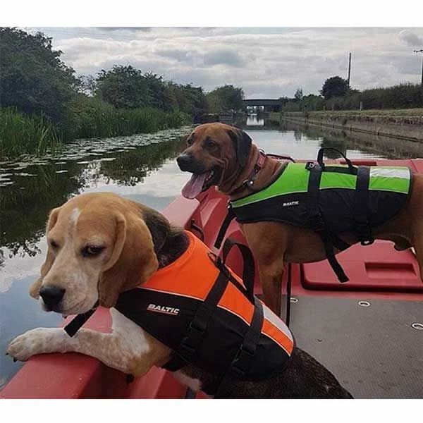 Baltic Mascot - Dog Buoyancy Aid 2 Baltic Mascot - Dog Buoyancy Aid - Image 2