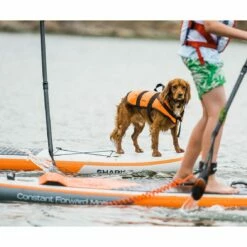 Shark T 11'8 X 30" Paddleboard 2023 -RED PADDLE CO. Sales shark sups lifestyle board lifestyle32 9